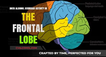 Alcohol's Impact: Does It Reduce Frontal Lobe Activity?