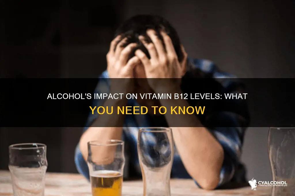 does alcohol decrease b12