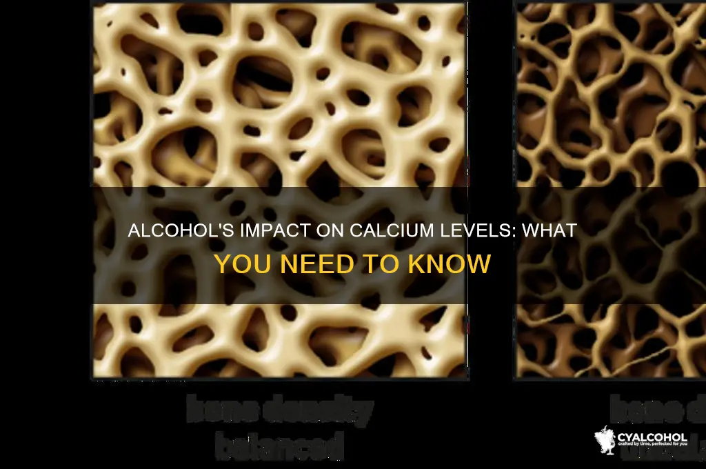 does alcohol decrease calcium
