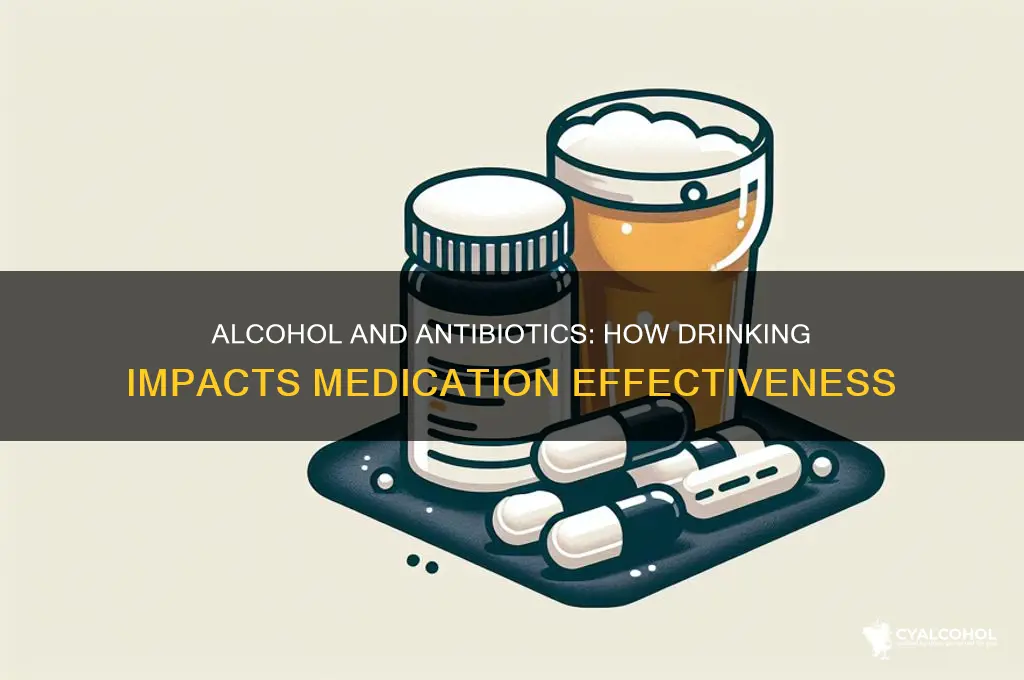 does alcohol decrease efficacy of antibiotics