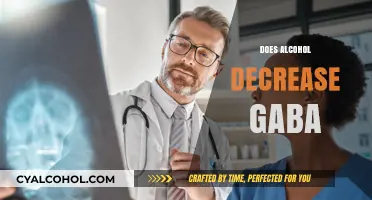 Alcohol's Impact on GABA: Unraveling the Neurochemical Connection