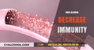 Alcohol's Impact on Immune Health: Weakening Your Body's Defenses?