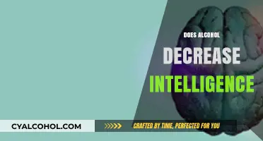 Does Alcohol Lower IQ? Exploring the Impact on Cognitive Abilities
