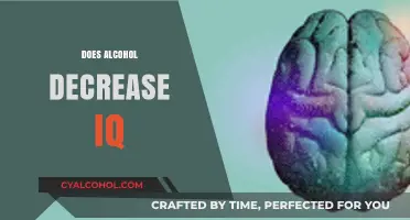 Does Alcohol Lower IQ? Exploring the Science Behind the Myth