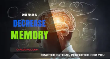 Alcohol's Impact on Memory: Uncovering the Truth Behind Memory Loss