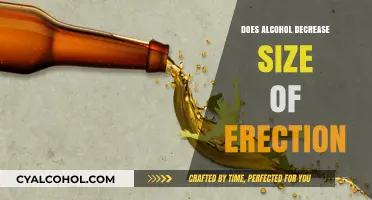 Alcohol's Impact on Erection Size: Separating Fact from Fiction