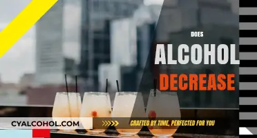 Does Alcohol Decrease Productivity, Health, and Mental Clarity? Find Out