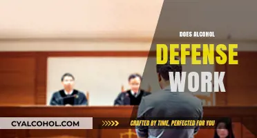 Does Alcohol Defense Hold Up in Court? Legal Insights and Analysis