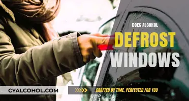 Alcohol for Defrosting Windows: Fact or Fiction? Find Out Now