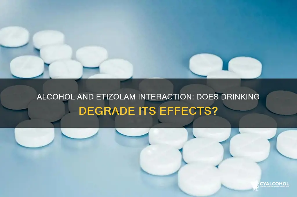does alcohol degrade etizoam
