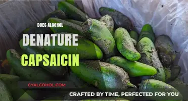 Alcohol and Capsaicin: Does Drinking Denature the Heat in Peppers?