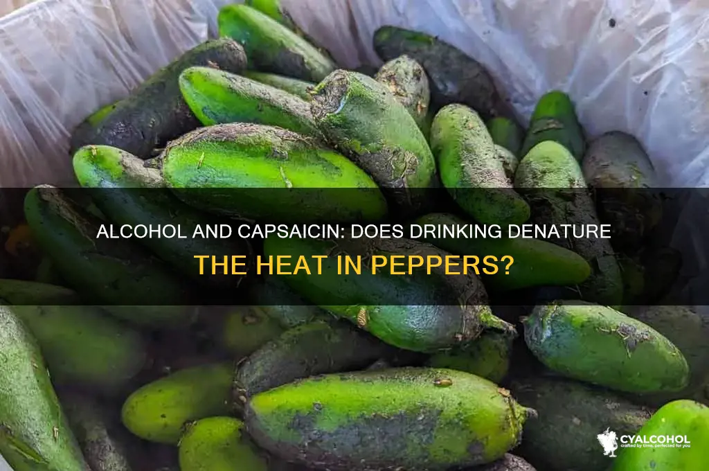 does alcohol denature capsaicin