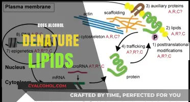Does Alcohol Denature Lipids? Unraveling the Science Behind the Myth