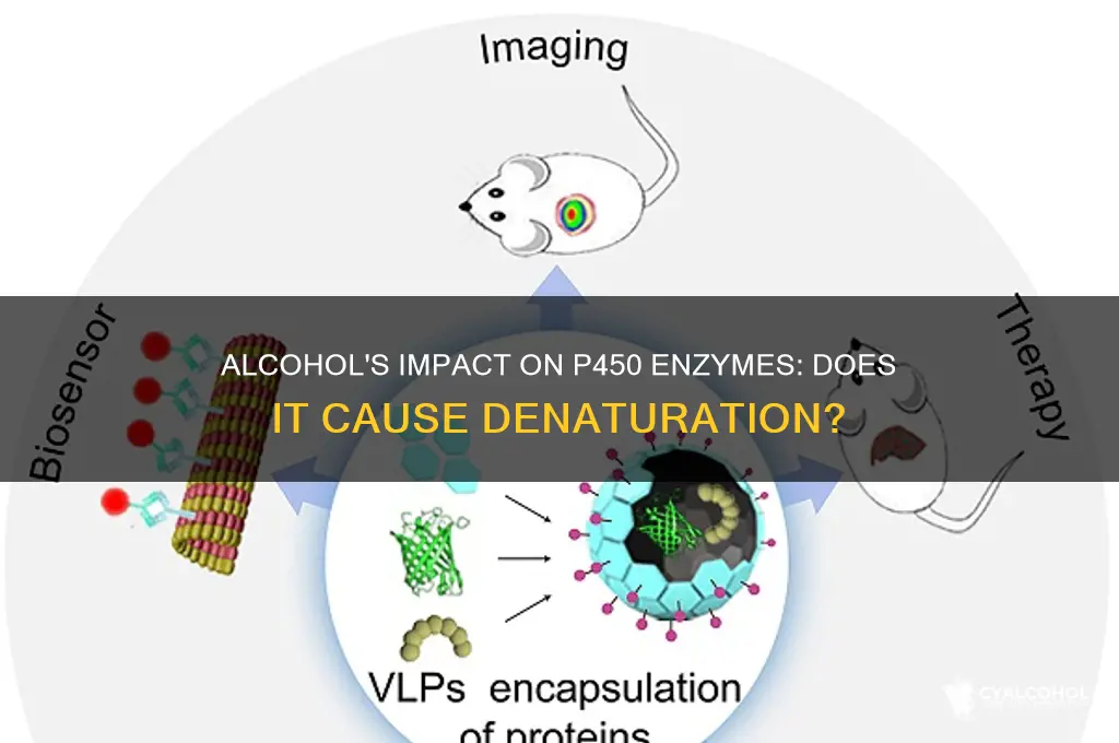does alcohol denature p450