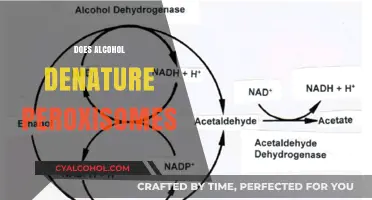 Alcohol's Impact: Does It Denature Peroxisomes in Cells?