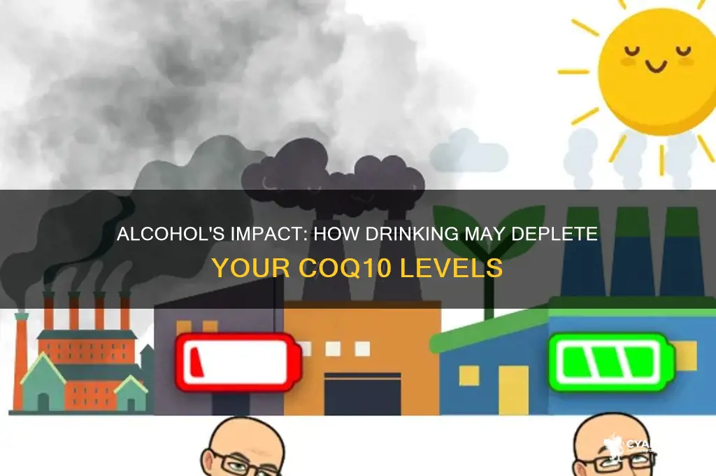 does alcohol deplete coq10