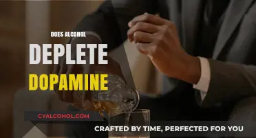 Alcohol's Impact: Does Drinking Deplete Dopamine Levels in the Brain?