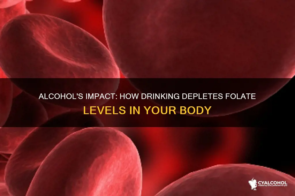 does alcohol deplete folate