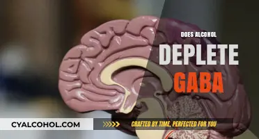 Alcohol and GABA Depletion: Unraveling the Brain's Chemical Imbalance