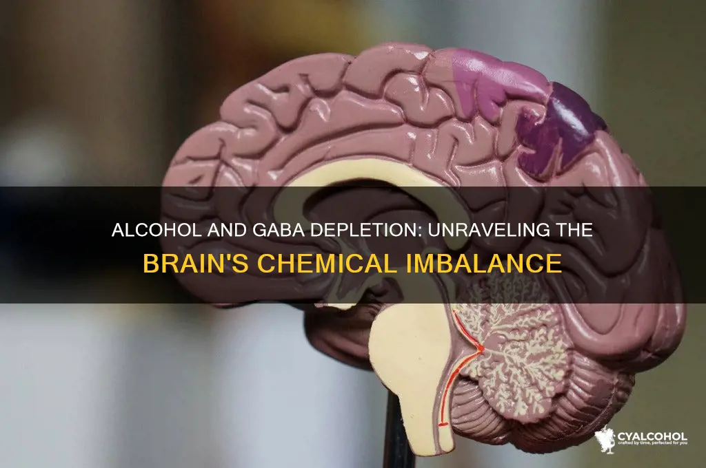 does alcohol deplete gaba