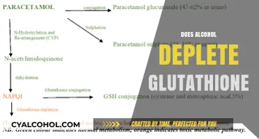 Alcohol's Impact: How Drinking Depletes Glutathione Levels in Your Body