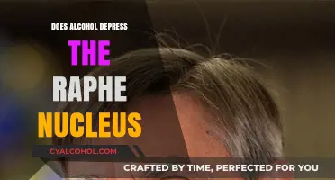 Alcohol's Impact on the Raphe Nucleus: Unraveling the Depression Connection