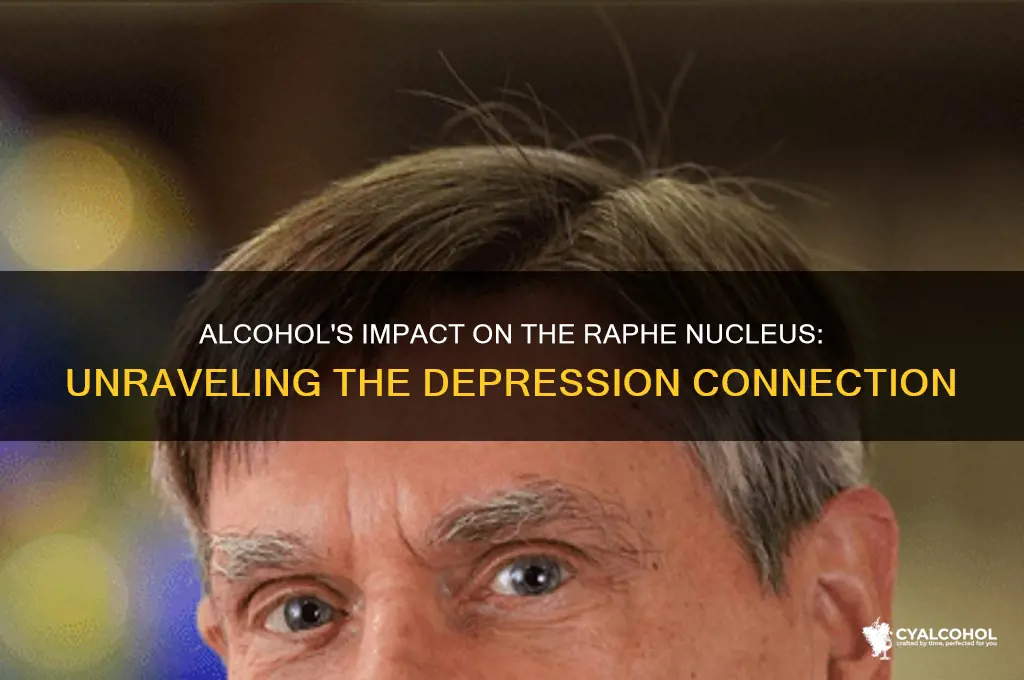 does alcohol depress the raphe nucleus
