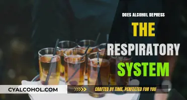 Alcohol's Impact: How Drinking Affects Your Respiratory System Function