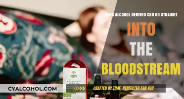 CBD and Alcohol: Does It Go Straight to Your Blood?