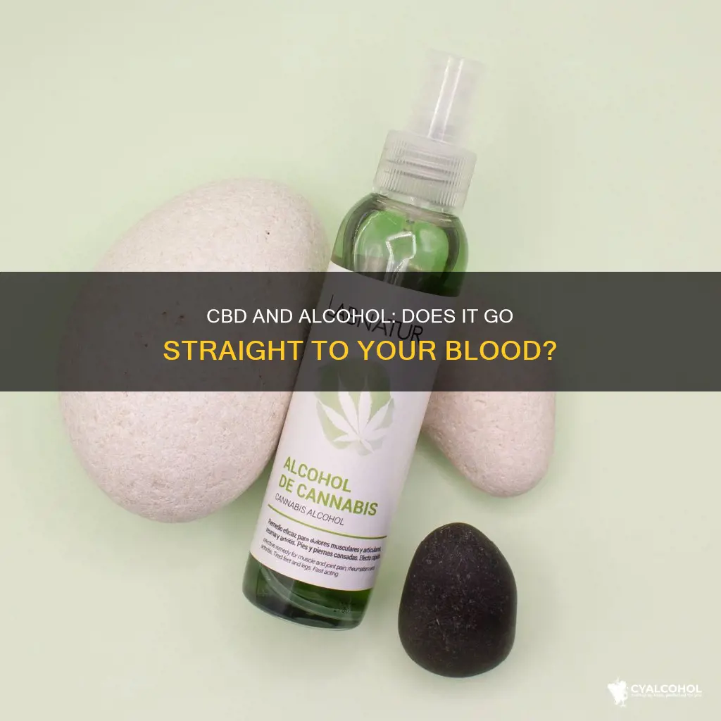 does alcohol derived cbd go straight into the bloodstream