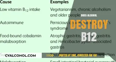 Alcohol and Vitamin B12: Uncovering the Impact on Your Health