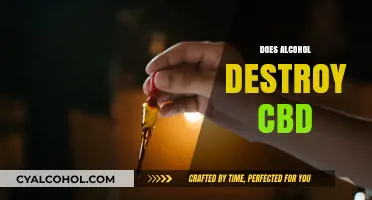 Alcohol and CBD Interaction: Does Drinking Destroy Cannabidiol's Effects?