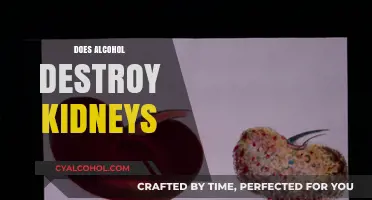 Alcohol's Impact on Kidney Health: Debunking Myths and Understanding Risks