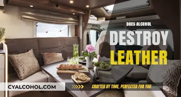 Alcohol and Leather: Uncovering the Truth About Damage and Care
