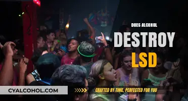 Alcohol and LSD Interaction: Does Drinking Destroy the Effects?