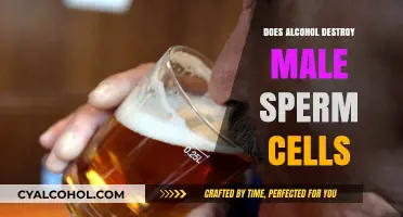 Alcohol's Impact: Does Drinking Harm Male Fertility and Sperm Health?