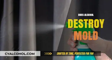 Can Alcohol Effectively Kill Mold? Facts and Myths Debunked