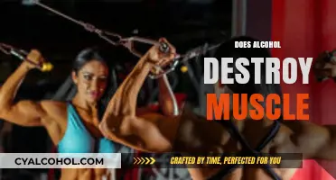 Alcohol's Impact on Muscle Growth: Separating Fact from Fiction