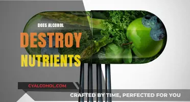 Alcohol's Impact: How Drinking Depletes Essential Nutrients in Your Body