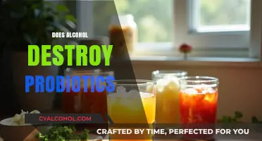 Alcohol and Gut Health: Does Drinking Destroy Probiotics?