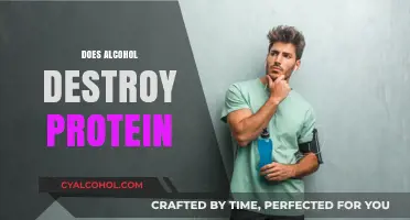 Alcohol's Impact on Protein: Does Drinking Compromise Muscle Growth?
