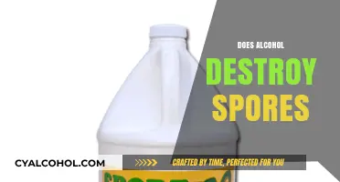 Alcohol vs. Spores: Can It Effectively Destroy These Resilient Microorganisms?