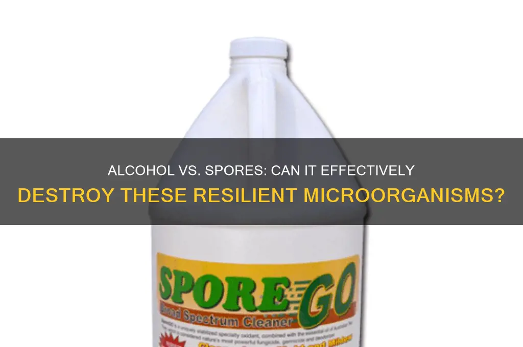 does alcohol destroy spores