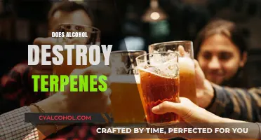 Alcohol and Terpenes: Unveiling the Impact on Aromatic Compounds
