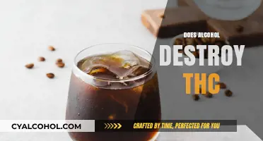 Alcohol vs. THC: Unraveling the Myth of Destruction and Interaction