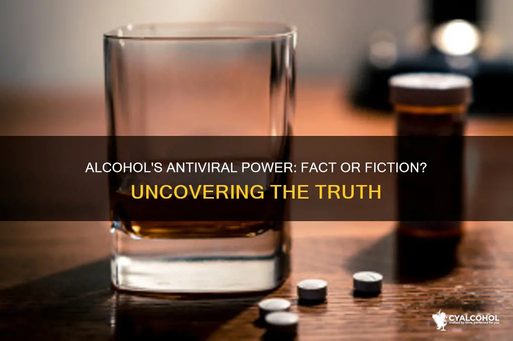 does alcohol destroy virus