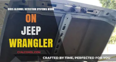 Do Alcohol Detection Systems Function Effectively in Jeep Wranglers?