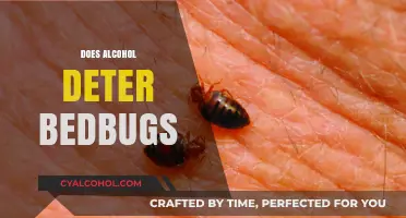 Alcohol and Bedbugs: Does It Repel or Attract These Pests?