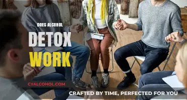 Does Alcohol Detox Work? Unveiling the Truth and Success Rates