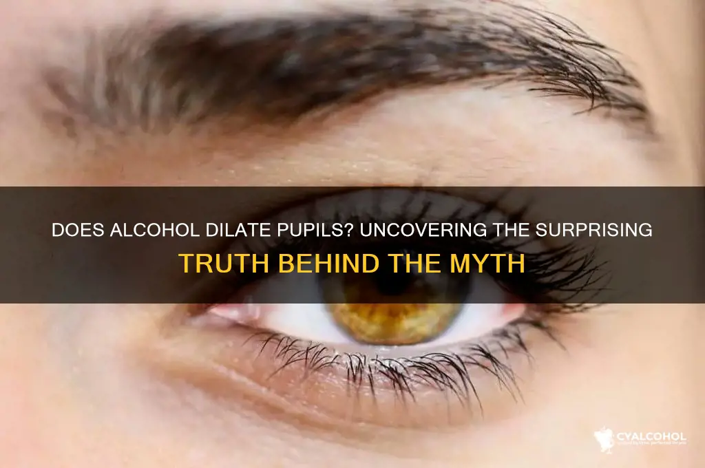 does alcohol dialate pupils
